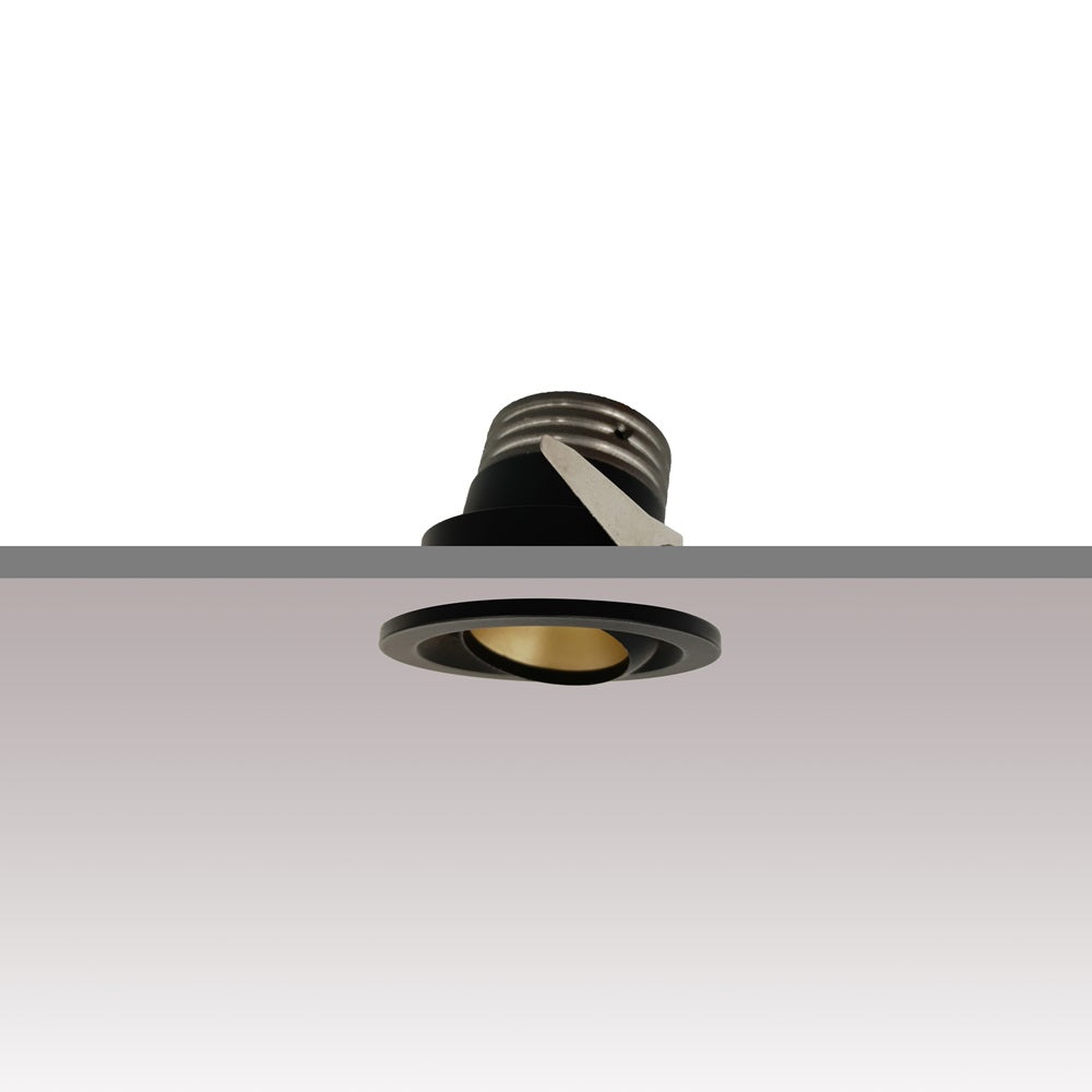Mini Spotlight