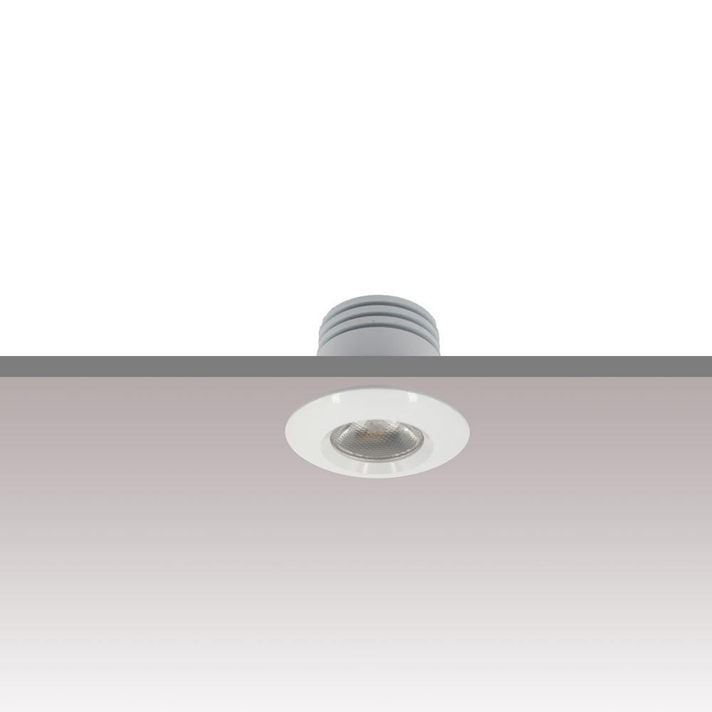 Mini Spotlight