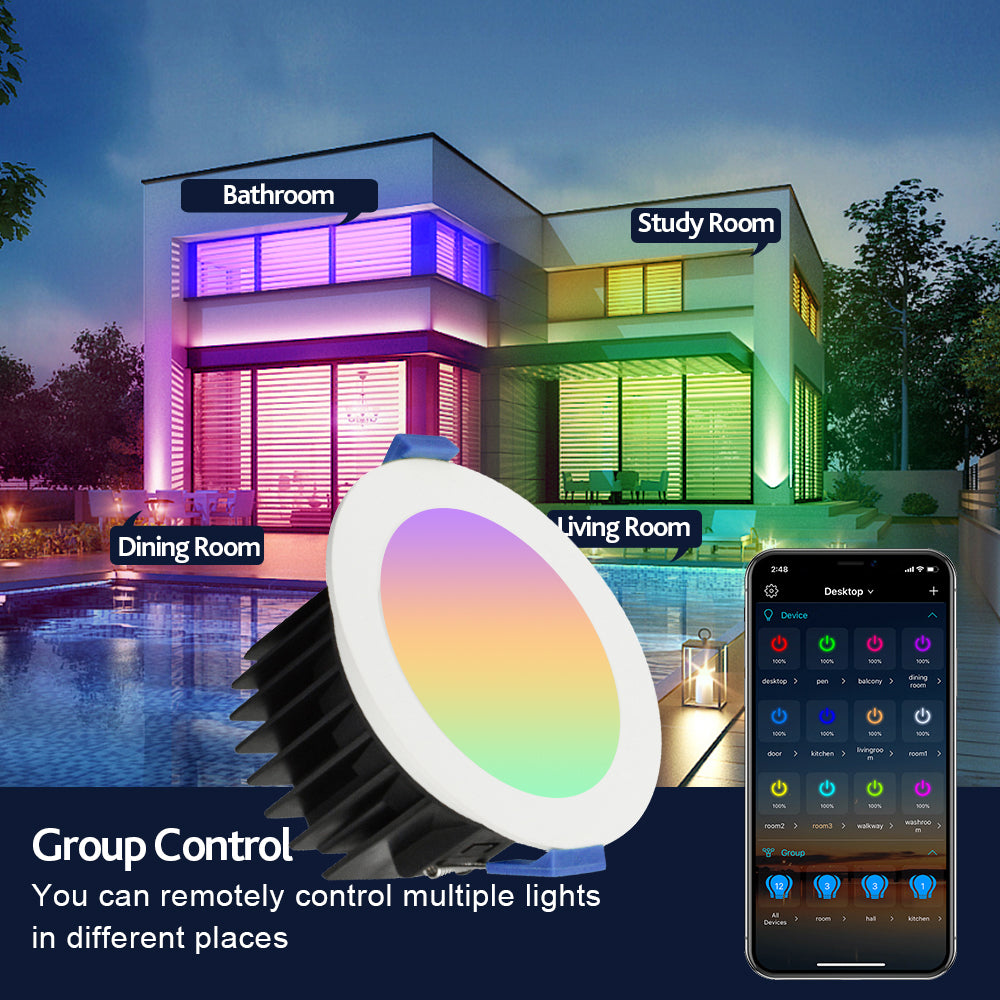 Smart Wifi Voice Control Downlight