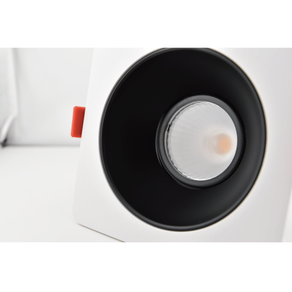 Double Head Downlight
