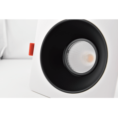Double Head Downlight