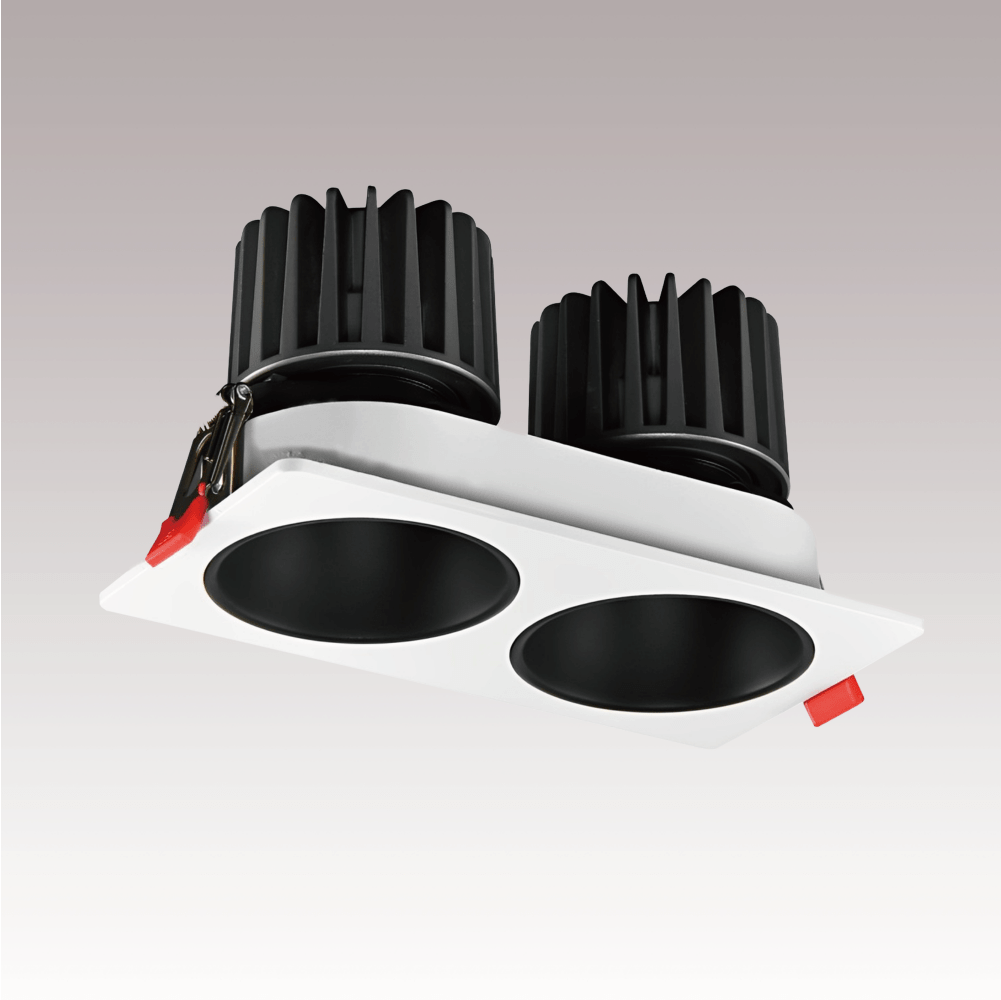 Double Head Downlight