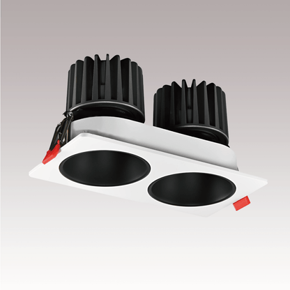 Double Head Downlight