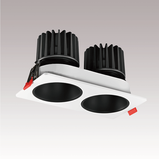 Double Head Downlight